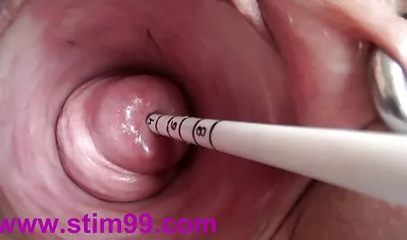 戴眼镜的婊子得到BBC奶油馅饼